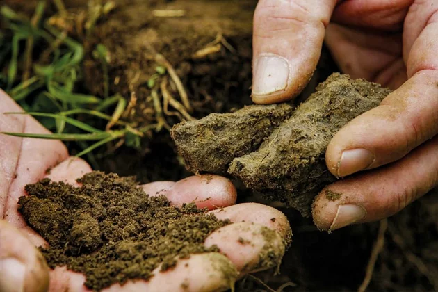 Hände graben in der Erde