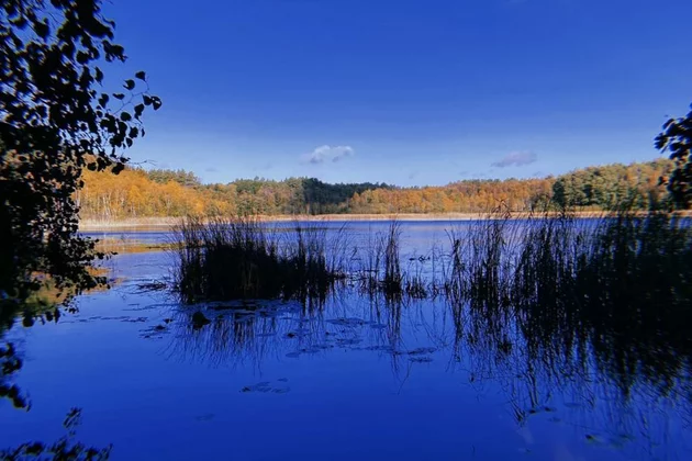 Natursee im Abendlicht