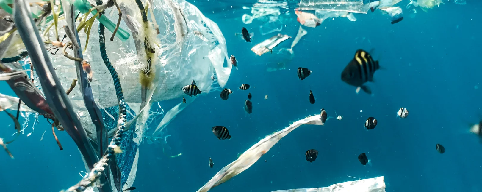 Unterwasserbild von im Meer treibendem Plastik 